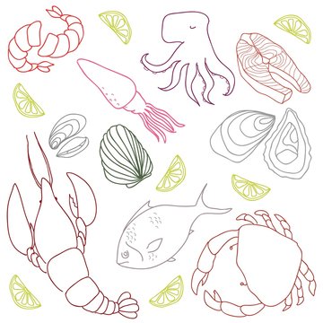 Set of hand drawn elements seafood. Retro vintage style seafood