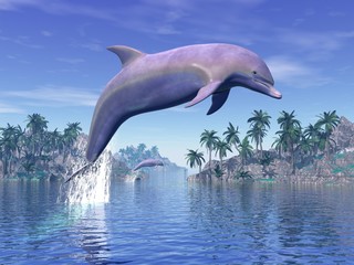 Naklejka premium Dolphin in the tropics - 3D rneder