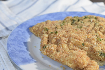 fish cutlet