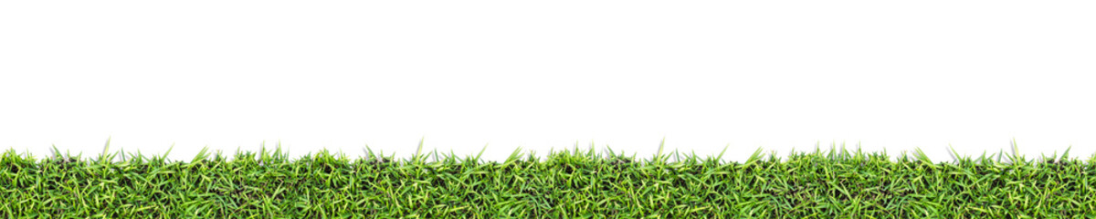 Seamless grass background  isolated on white