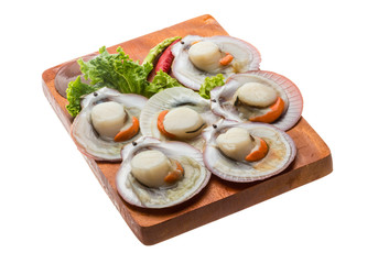 Raw fresh scallop