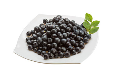 Blueberry