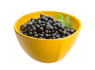 Blueberry