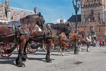 Fototapeta na wymiar Bruges - Carriage on the Grote Markt and Belfort van Brugge