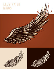 Illustrated wings