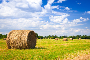 landscape with harvested bales