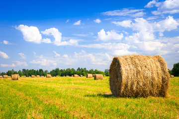 landscape with harvested bales