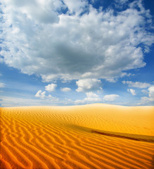 Beautiful sand dunes in the Sahara desert, Tunisia