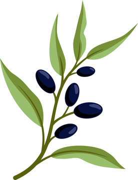Colorful olive branch