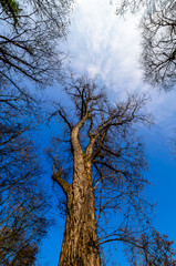 am roseninsel in Bad Kreuznach