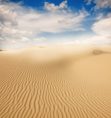 Beautiful sand dunes in the Sahara desert, Tunisia