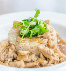 Chicken with brown sauce on rice