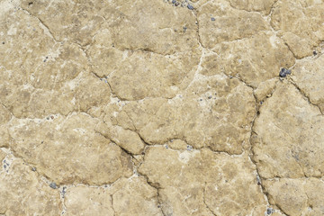 dry cracked soil texture and background