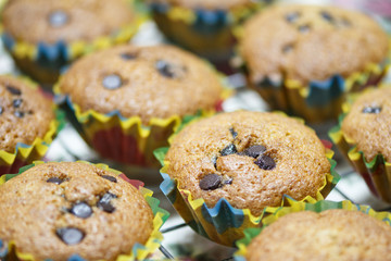 Pastry Muffins