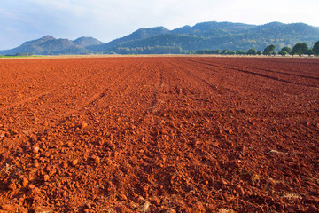 Laterite Soil texture