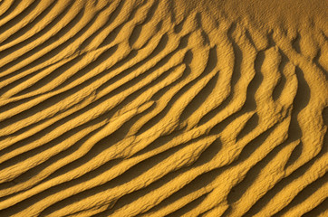 Sand texture