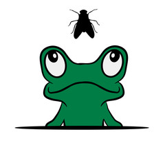 Frosch Fliege jagen