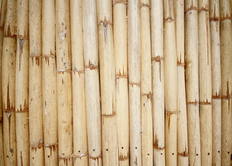Bamboo texture