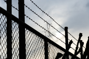 Steel fence silhouette