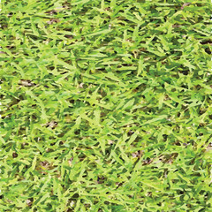 grass0001