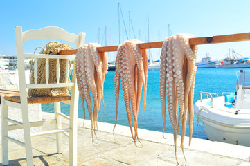 Octopus drying in the sun, Naxos island, Cyclades, Greece