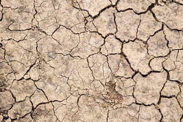 dry soil texture background