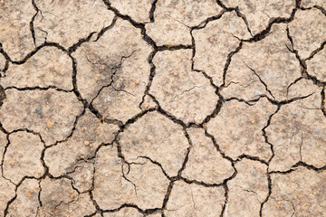 dry soil texture background