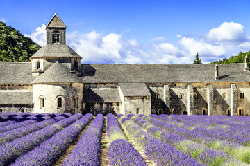 Abbey of Senanque