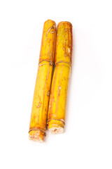 Sugarcane isolated on a white studio background.