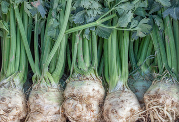 Farmers market celery background