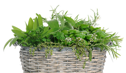 Naklejka premium basket with herbs
