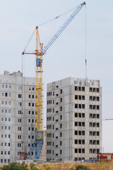 Fototapeta na wymiar crane builds the building