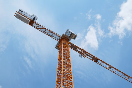 The image of crane