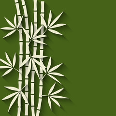 Fototapeta na wymiar bamboo green background