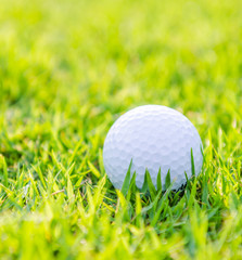 Golf ball on green grass