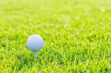 Golf ball on green grass