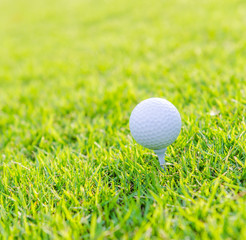 Golf ball on green grass