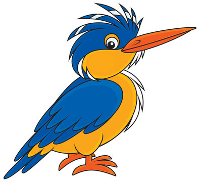 recommend clip art: Kingfisher