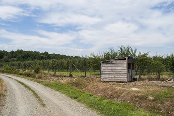 Shed by Gravel Road