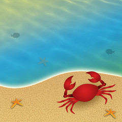 Fototapeta na wymiar Crab on the beach