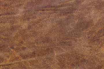 Old Cowhide Creasy Exfoliated Crumpled Grunge Texture