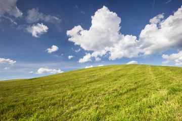 Grass Field./ Northern Poland