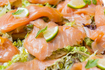 salmon sandwiches