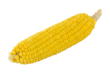 Fresh cook corn