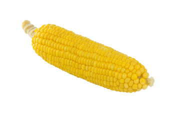 Fresh cook corn