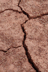 close-up of dry dracked soil ground