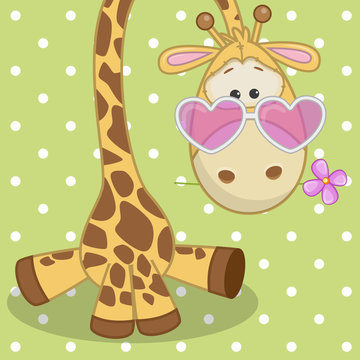Giraffe with flower