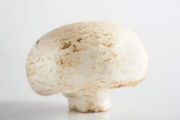 Fresh, white, button mushroom.  Selective focus.