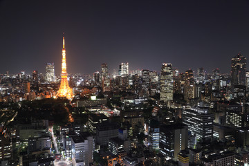 top view of Tokyo cityscape at night