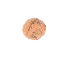 Fototapeta na wymiar Close up of walnut.